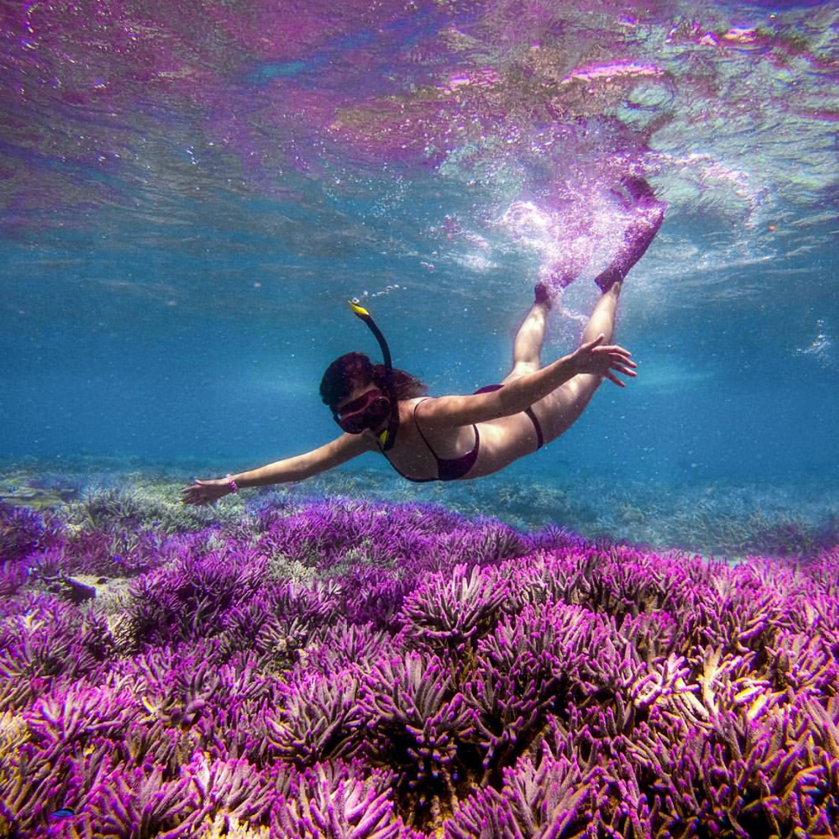 Nadi Sailing charters Fiji snorkeling