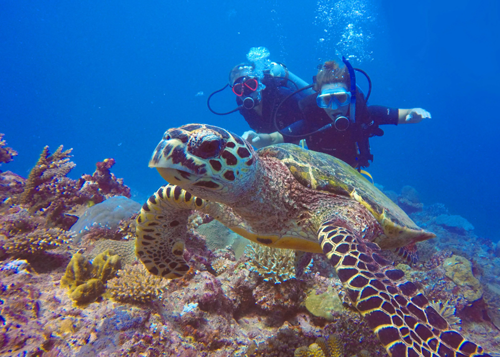 diving and freediving courses Fiji. SSI certified dive.