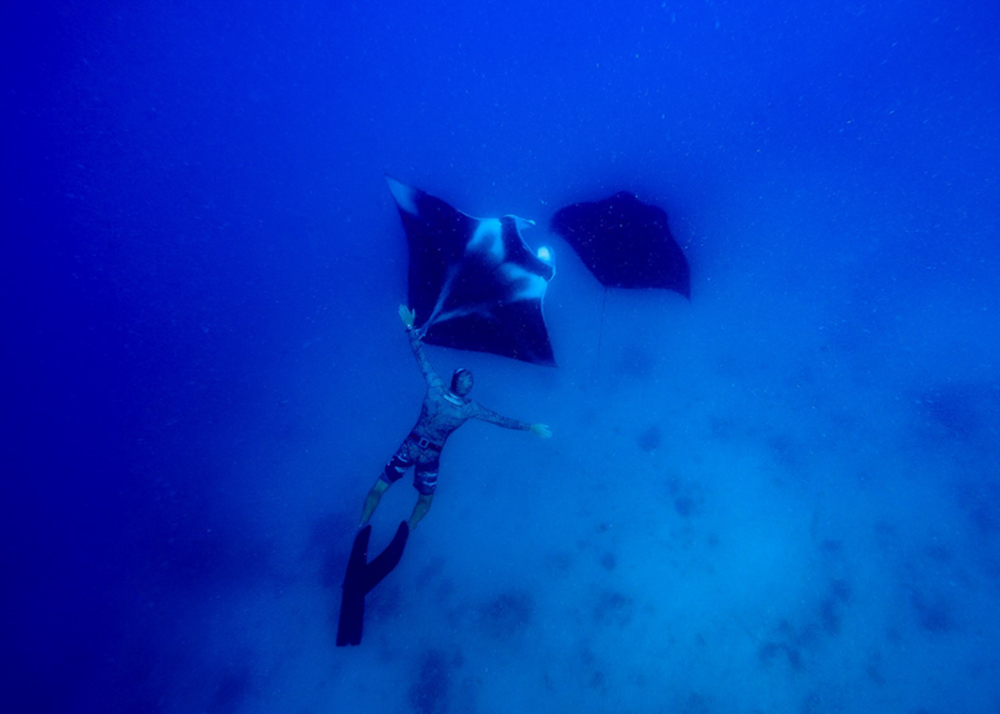 diving and freediving courses Fiji. SSI Level 2 freediving dive course.