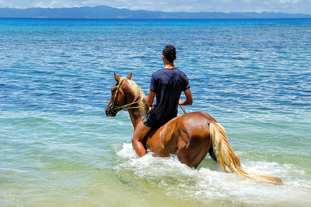 horse ride tour fiji