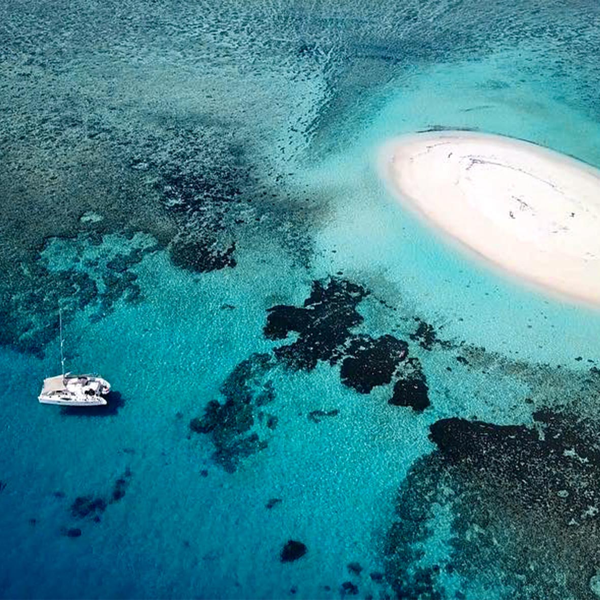 Day 6 Fiji Island Sale
