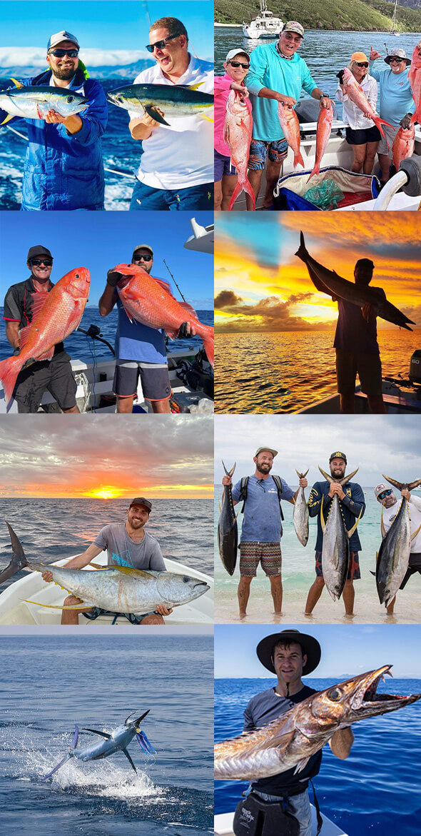 big-blue-fiji-fishing-charter • Big Blue Fiji
